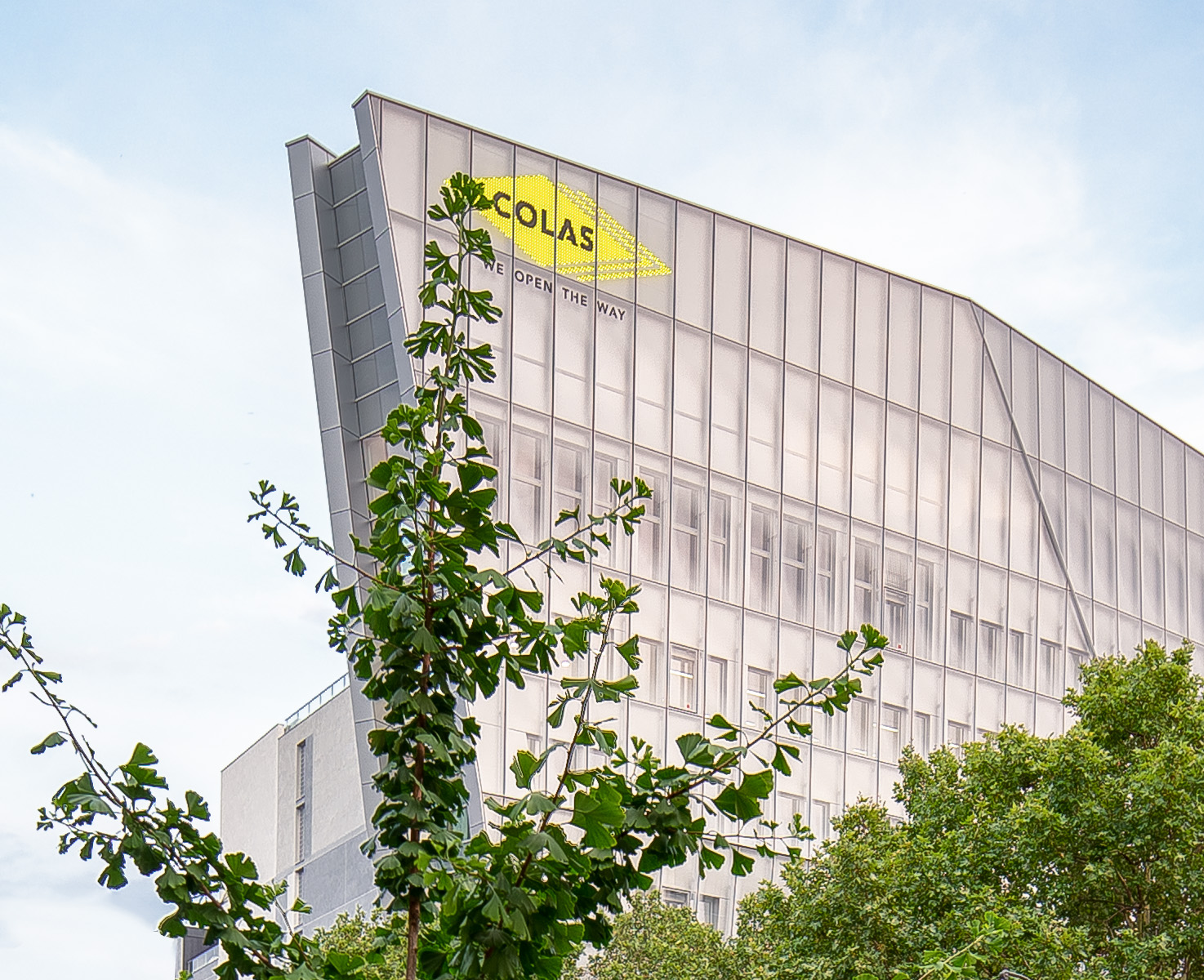 Head office colas