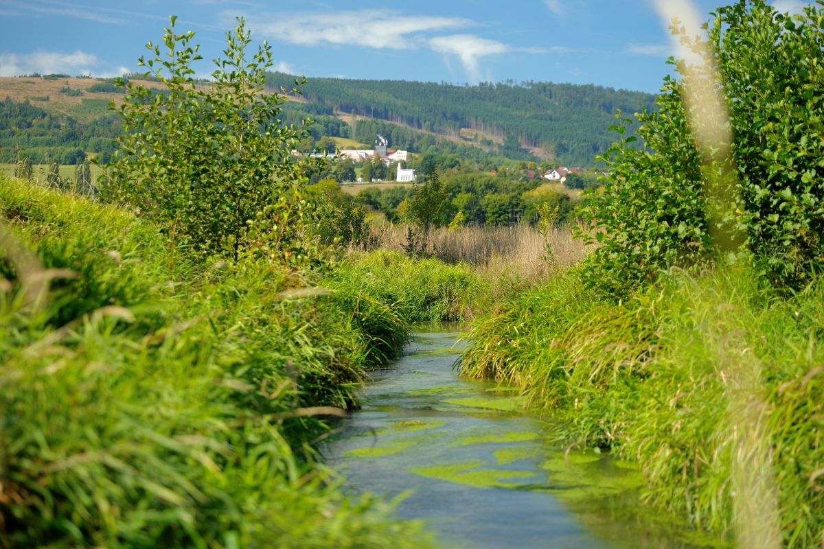 Revitalisation du ruisseau erný potok à Klení poderchovem - République tchèque