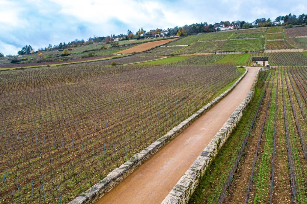 Domaine Bouchard et Fils à Beaune