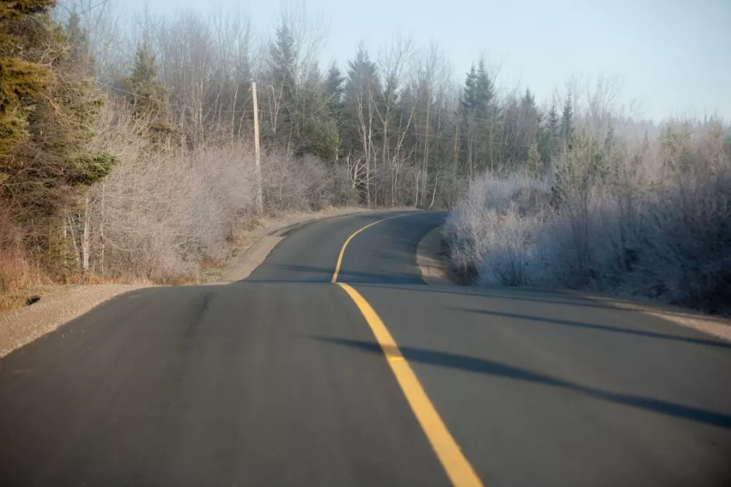Road with a colorful forest