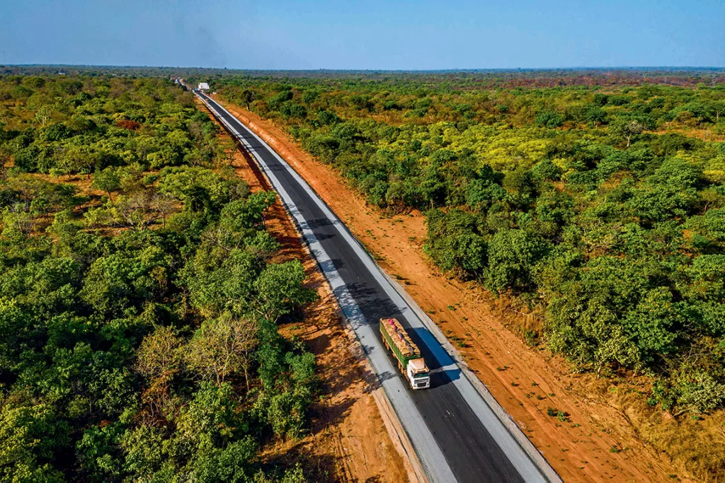 Route droite traversant une forêt verdoyante