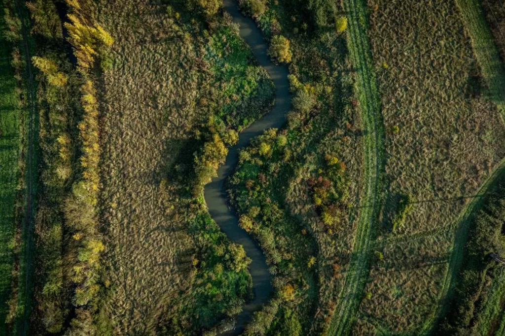 Génie écologique Caissargues