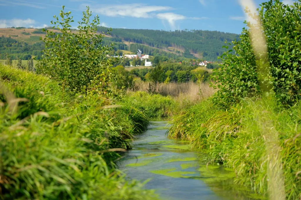 Revitalisation du ruisseau erný potok à Klení poderchovem - République tchèque