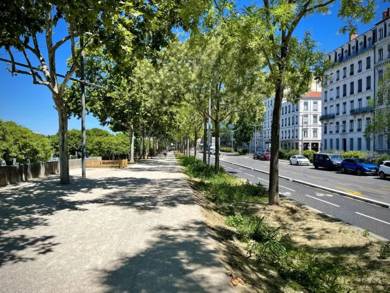 Illustration of Who We Are