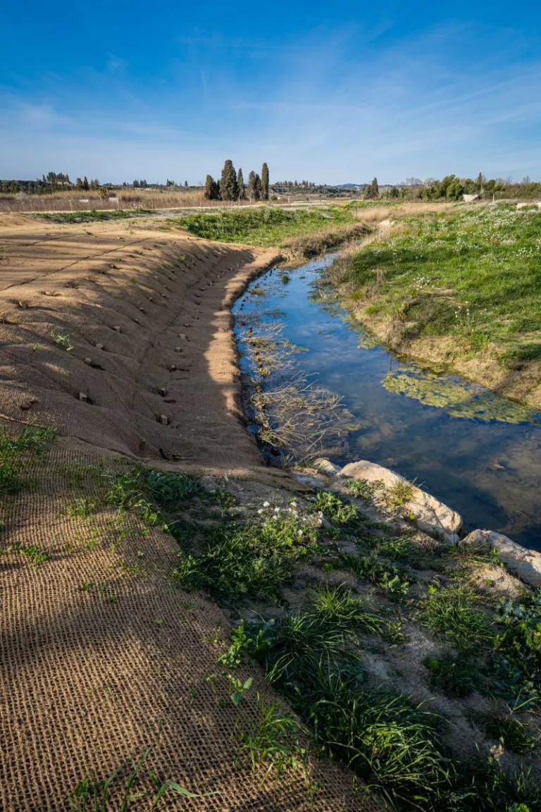 Image of Eau Illustration of Eau