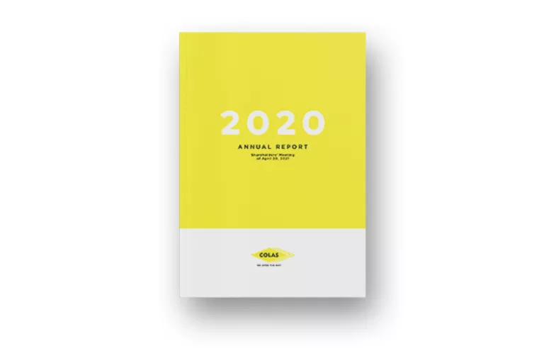  Annual Report 2020