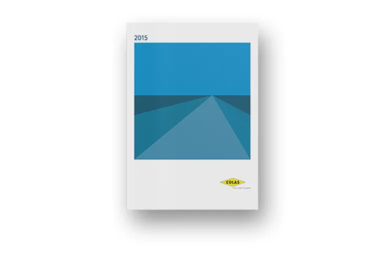 The year in review 2015