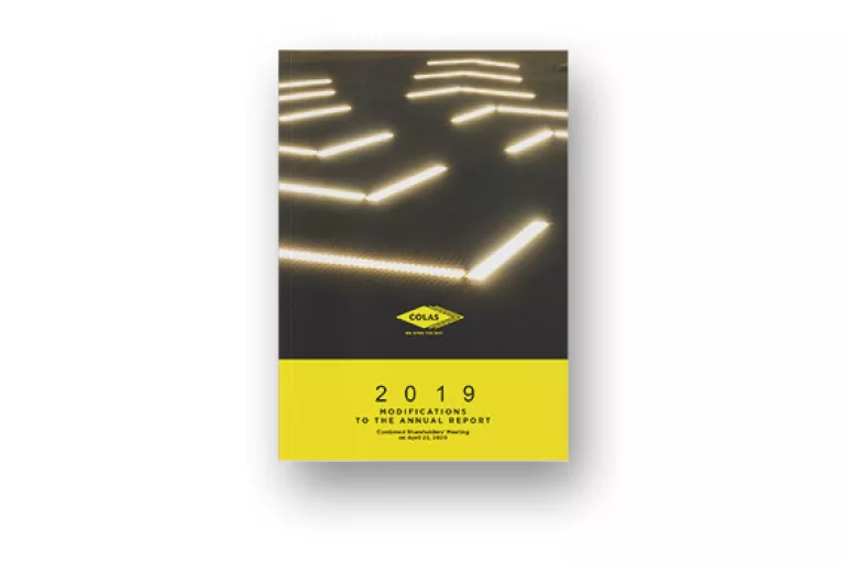 Modifications to the annual report 2019