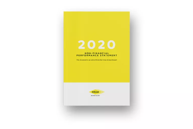 Non-financial Performance Statement 2020