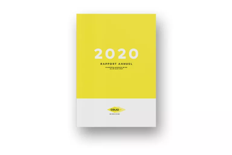 Rapport annuel 2020