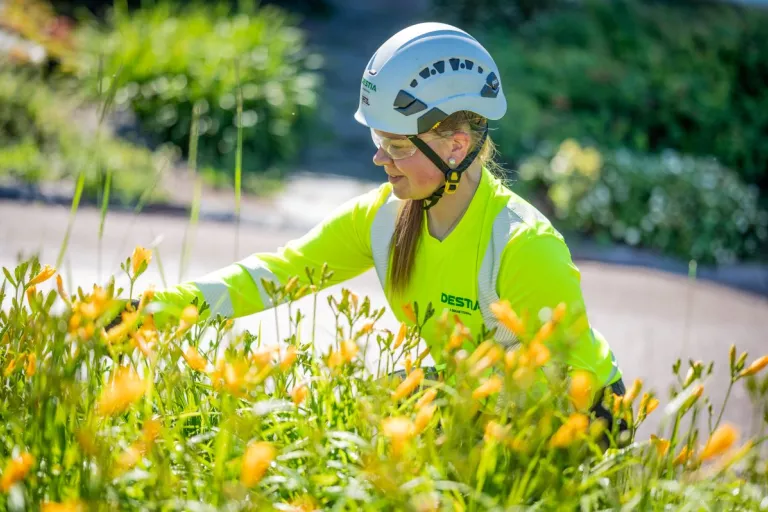 Contrat d'entretien du centre-ville de Turku - Finlande