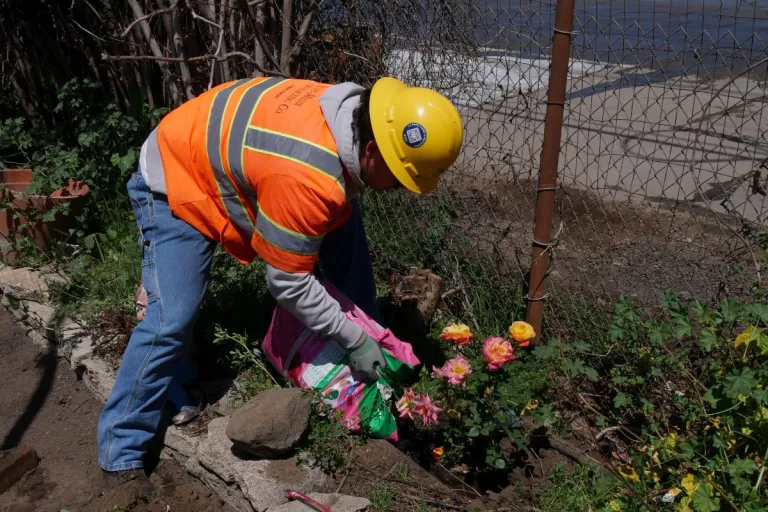 Nettoyage et aménagement paysager des parcelles de Altadena, Californie