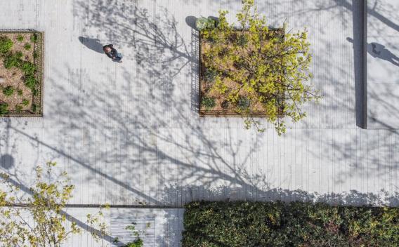 Chantier Les allées de Neuilly