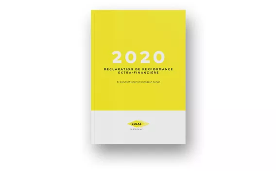 Déclaration de Performance Extra-Financière 2020