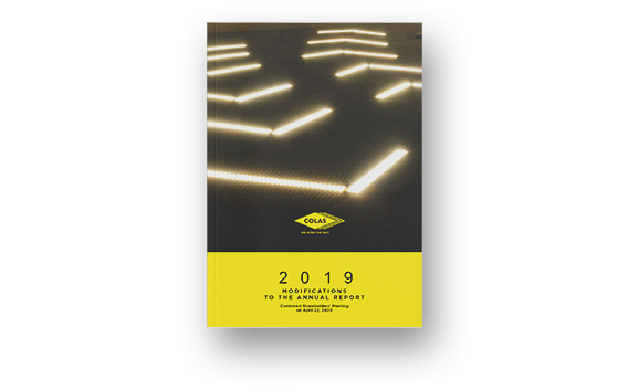 Modifications to the annual report 2019