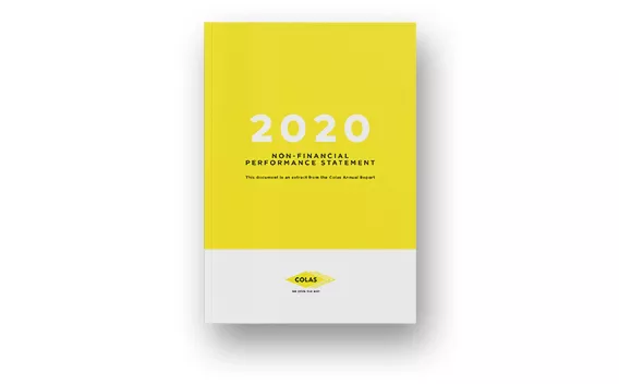 Non-financial Performance Statement 2020