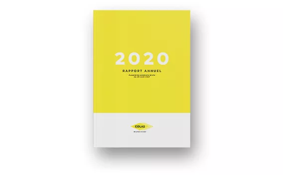 Rapport annuel 2020
