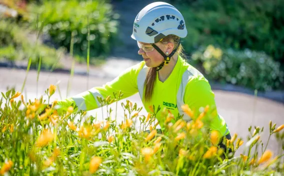 Contrat d'entretien du centre-ville de Turku - Finlande