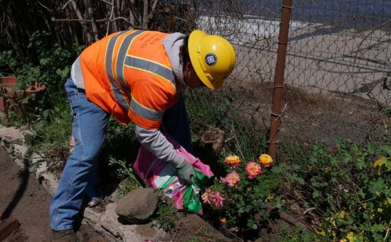 Nettoyage et aménagement paysager des parcelles de Altadena, Californie