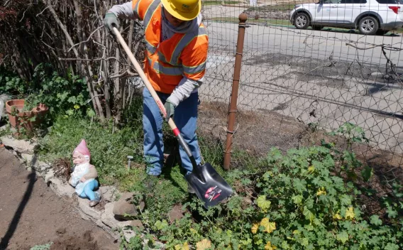 Nettoyage et aménagement paysager des parcelles de Altadena, Californie