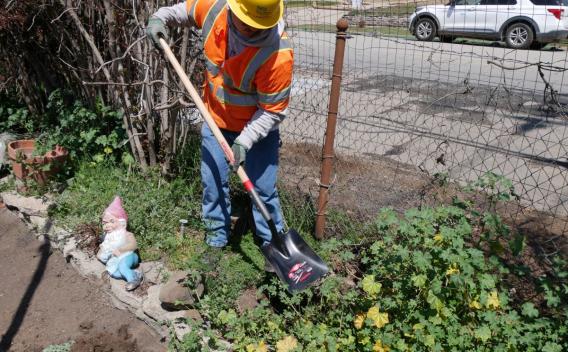 Nettoyage et aménagement paysager des parcelles de Altadena, Californie