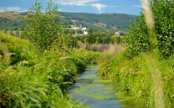 Revitalisation du ruisseau erný potok à Klení poderchovem - République tchèque
