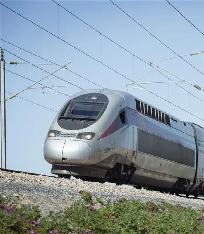 TGV roulant en campagne
