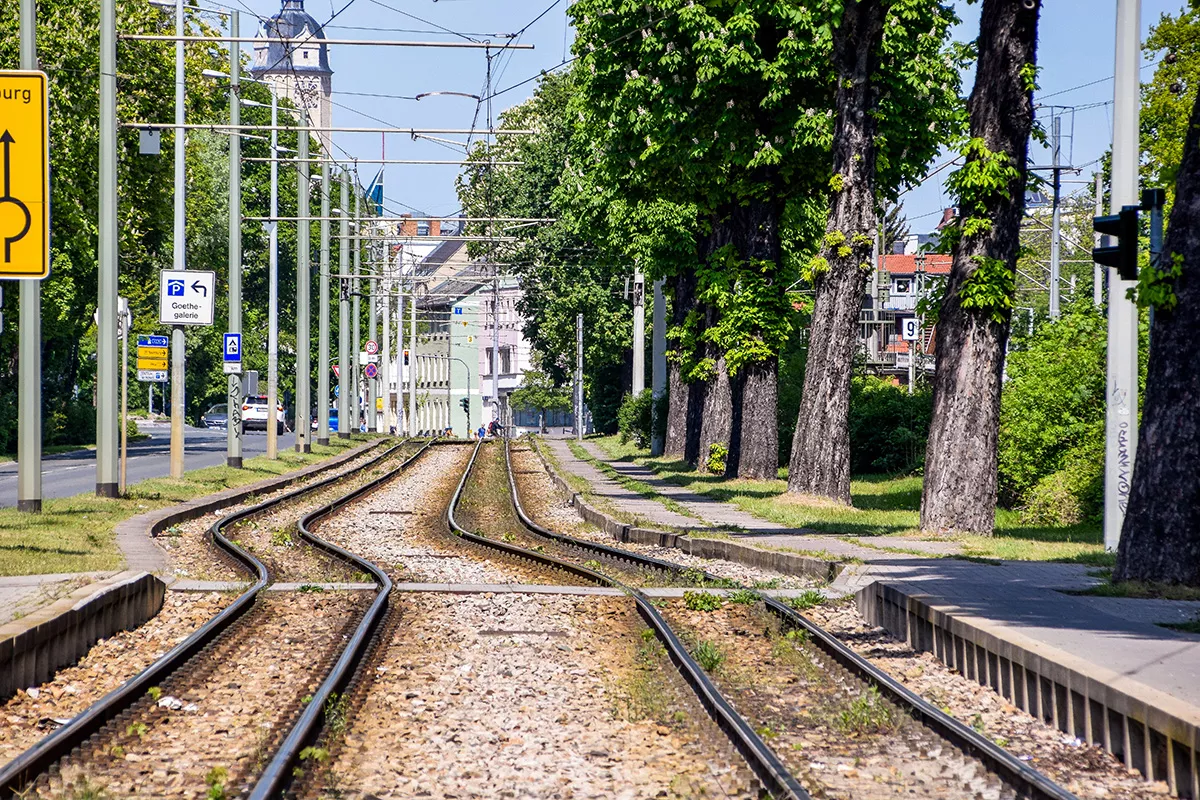 Rails de tramway serpentant parmi la ville et les arbres.