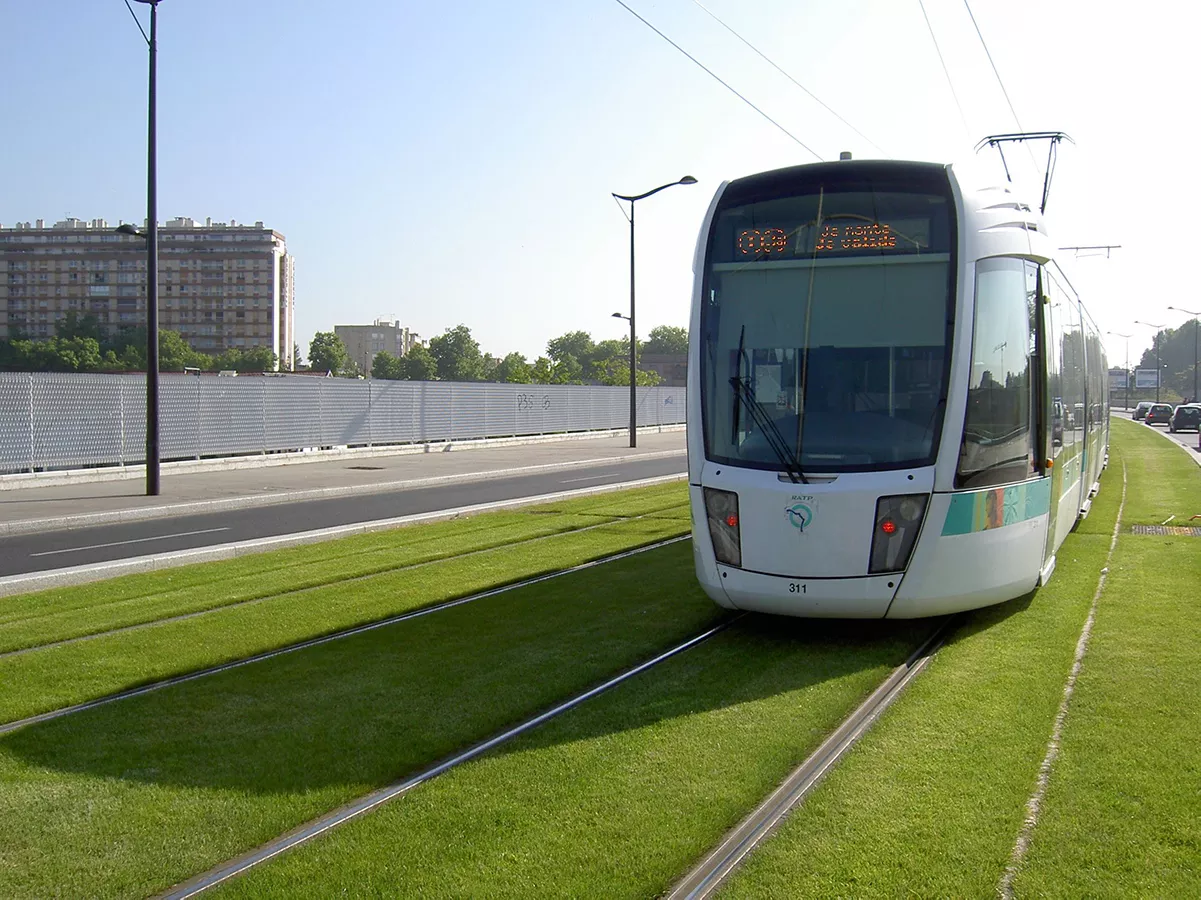 Trawmay on a lawn floor