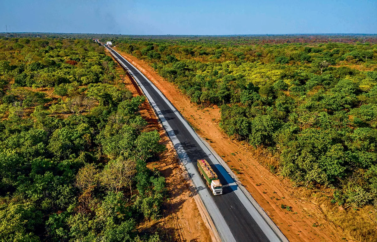 Straight road crossing a green forest