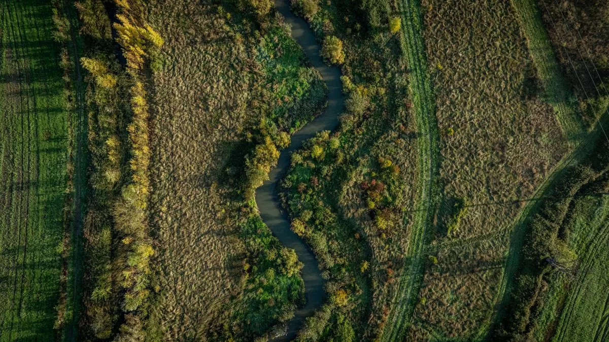 Ecological Engineering Caissargues