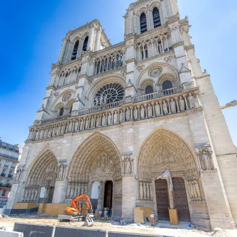 Illustration of Notre-Dame: The Project of the Century