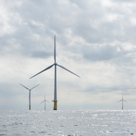 Illustration of Offshore Windfarm in Normandy