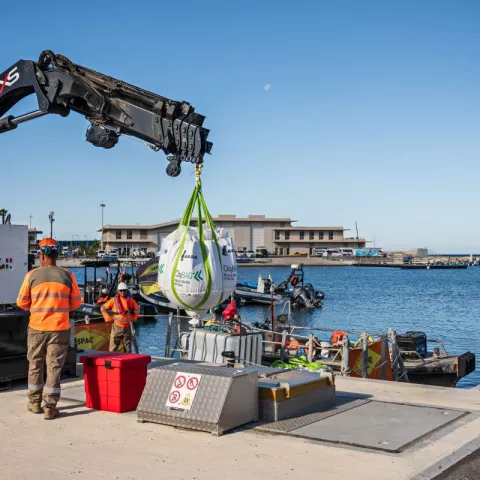 Illustration of A Refurbished Marina in Marseille