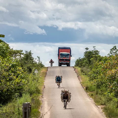 Illustration of Destination Madagascar