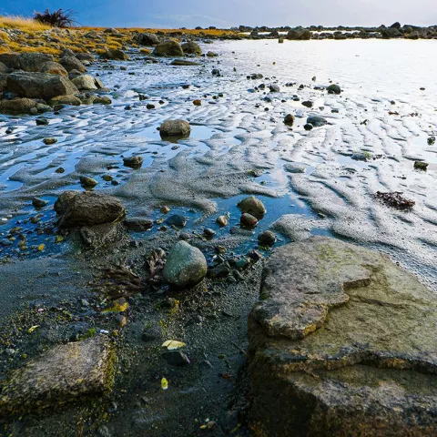 Illustration of Alaska : les chantiers de l&#039;extrême