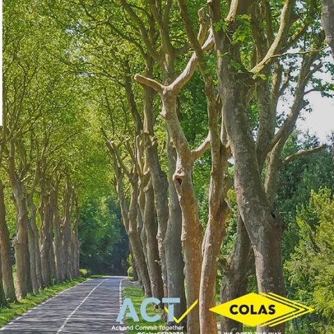 Illustration of Journée Colas pour l’Environnement