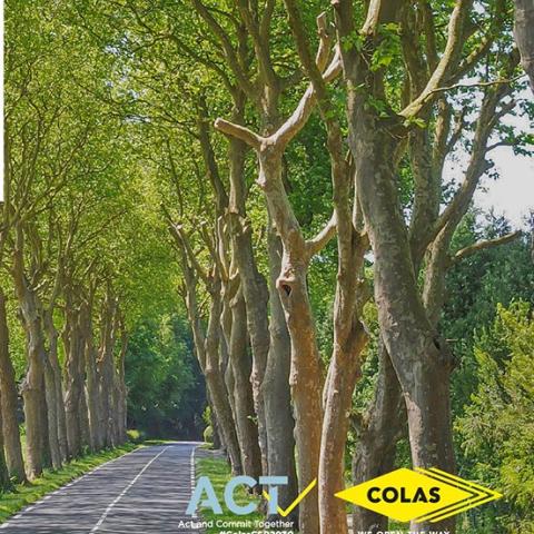 Illustration of Journée Colas pour l’Environnement