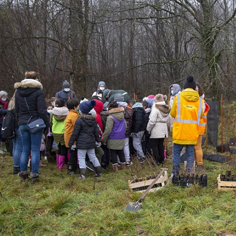 Illustration of Colas s’engage dans un projet éducatif destiné à planter 22 000 arbres avec Kinomé
