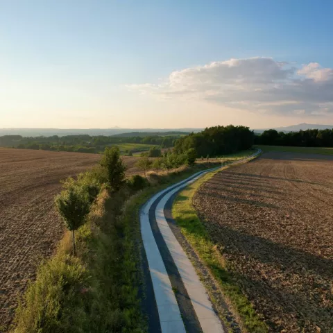 Illustration of Diversification : Exploring New Ways