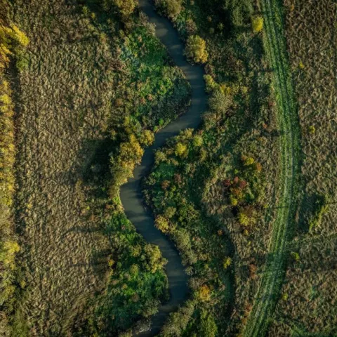 Illustration of Génie écologique