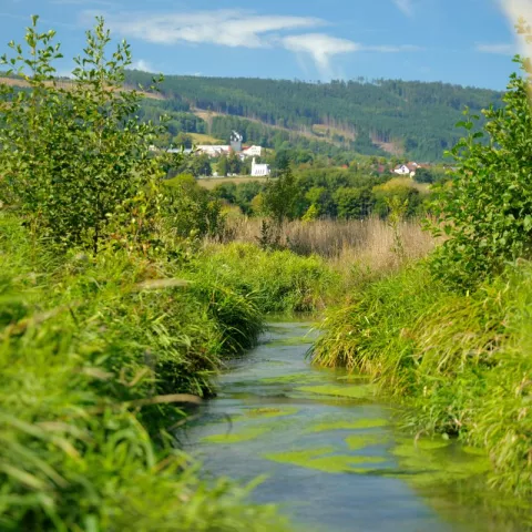 Illustration of Les activités de diversification au service du développement durable des territoires 