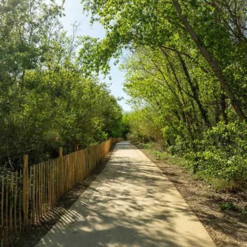 Illustration of Climate: The Great Challenge for Tomorrow’s Communities