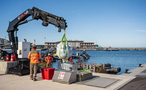 Modernisation du bassin du Roucas-Blanc - Marseille