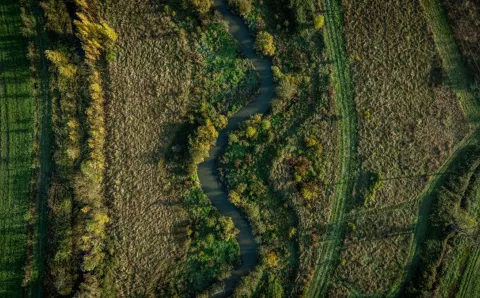Génie écologique Caissargues