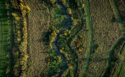 Génie écologique Caissargues